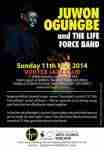 Juwon Ogungbe and the Life Force Band